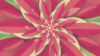 Richard Feynman waxes scientific about a flower, touches your freaking soul